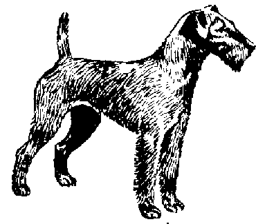 Terrier clipart #4, Download drawings