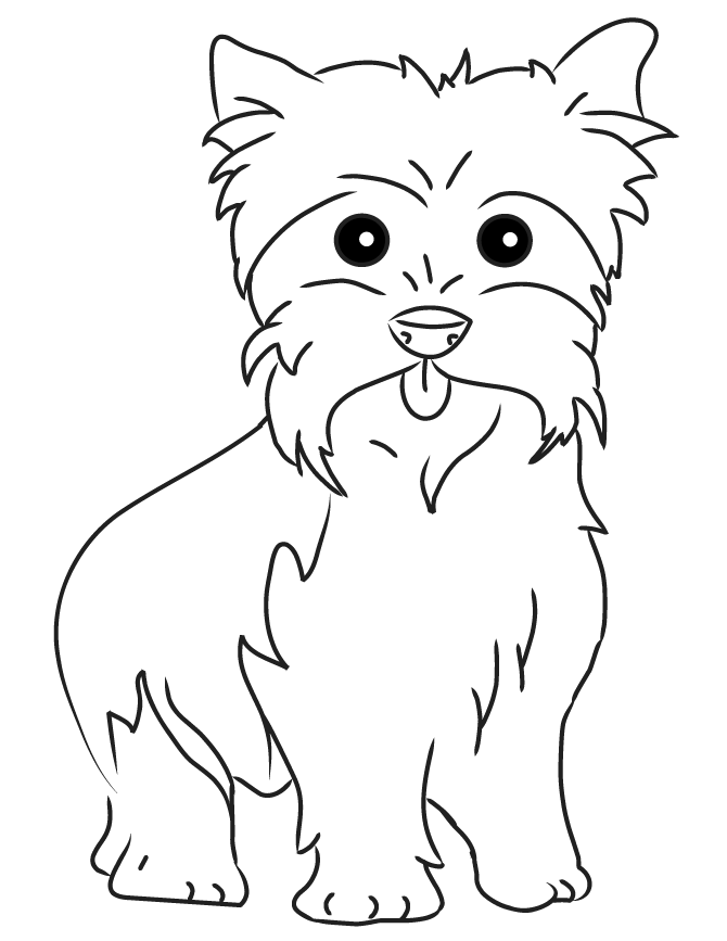 Yrokshire Terrier coloring #3, Download drawings