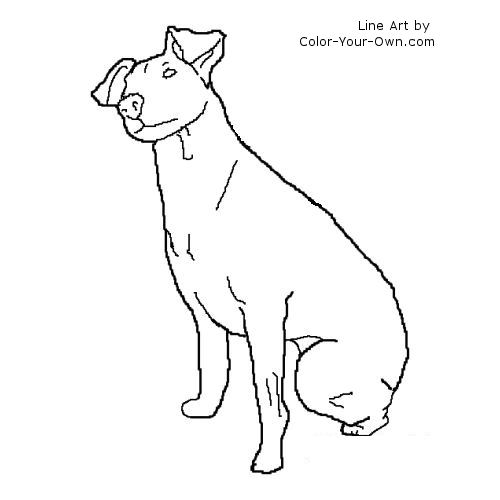 Terrier coloring #10, Download drawings