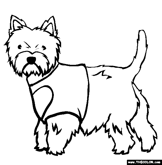Terrier coloring #18, Download drawings