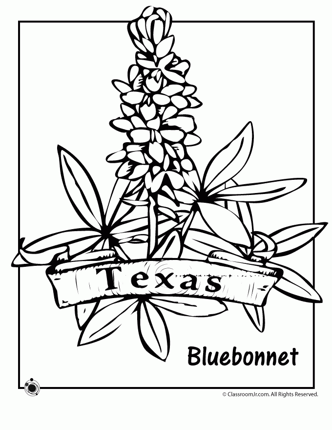 Texas Bluebonnets coloring #13, Download drawings