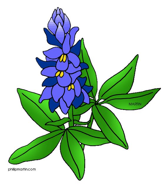 Texas Bluebonnets svg #4, Download drawings