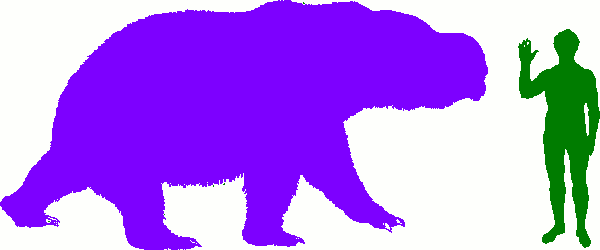 The Diprotodon clipart #12, Download drawings
