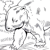 The Diprotodon coloring #14, Download drawings