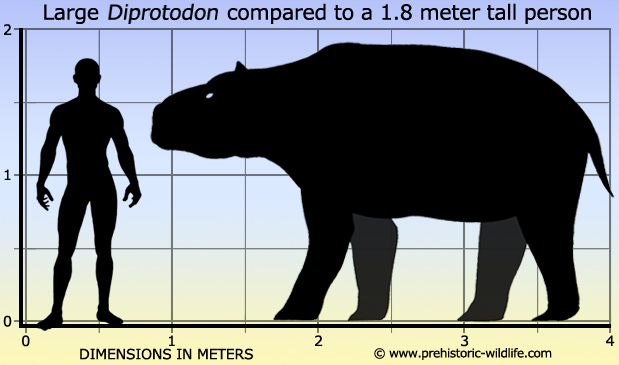 The Diprotodon coloring #5, Download drawings