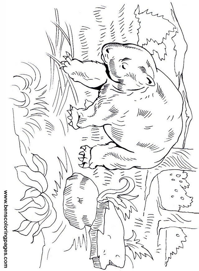 The Diprotodon coloring #13, Download drawings