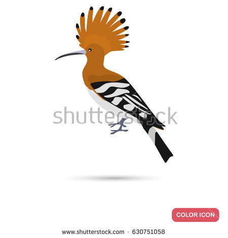 The Hoopoe Close Up coloring #10, Download drawings