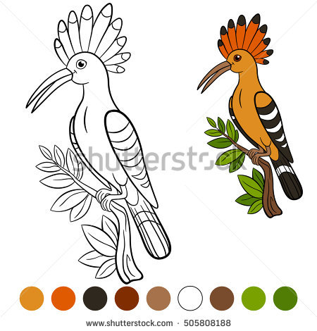 The Hoopoe Close Up coloring #11, Download drawings