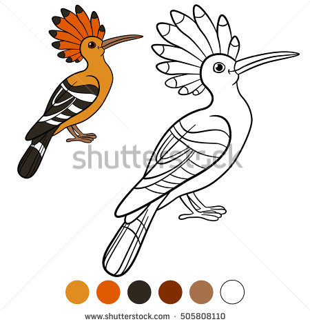 The Hoopoe Close Up coloring #17, Download drawings
