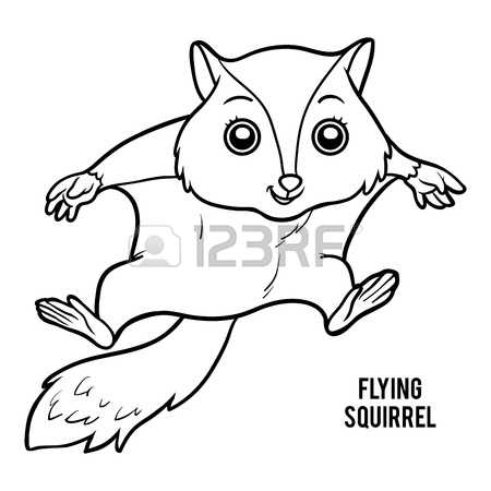 The Japanese Dwarf Flying Squirrel coloring #4, Download drawings