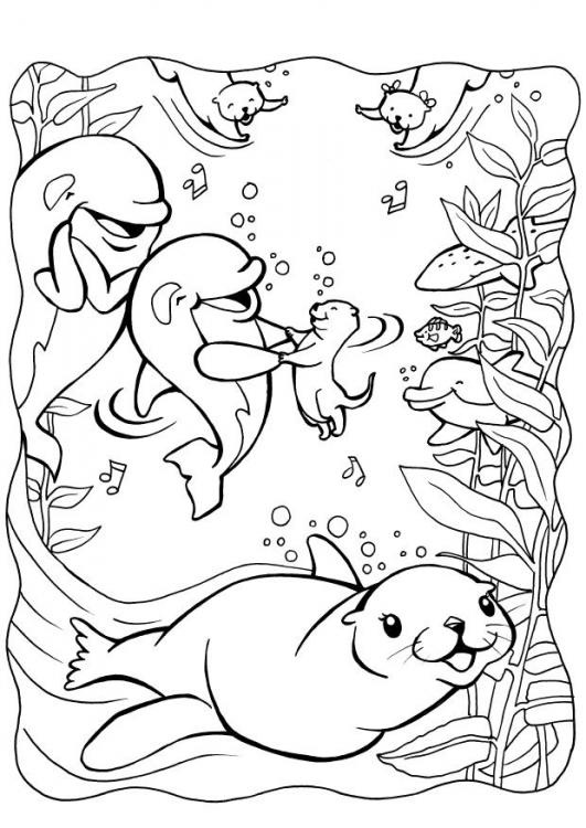 The Otter coloring #8, Download drawings