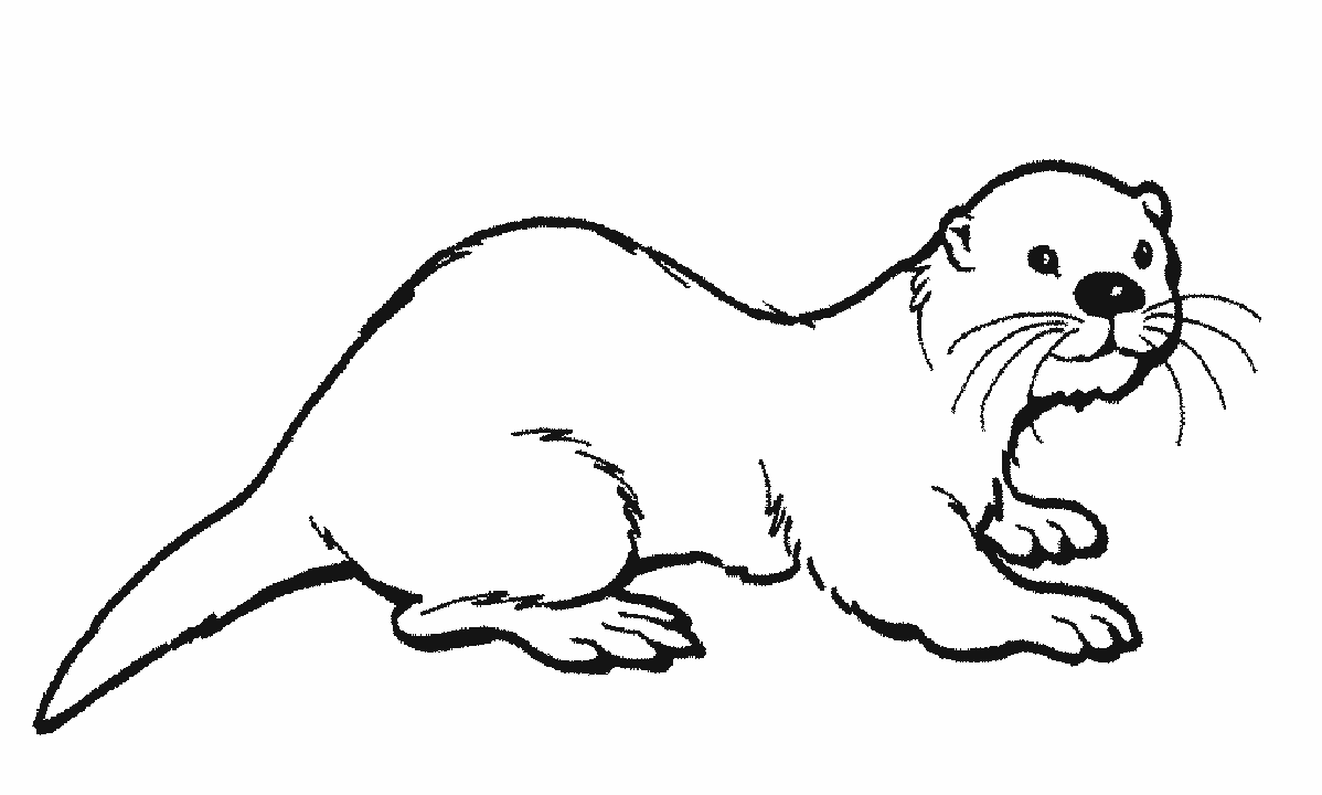 The Otter coloring #19, Download drawings