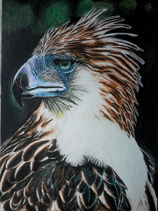 The Philippine Eagle coloring #10, Download drawings