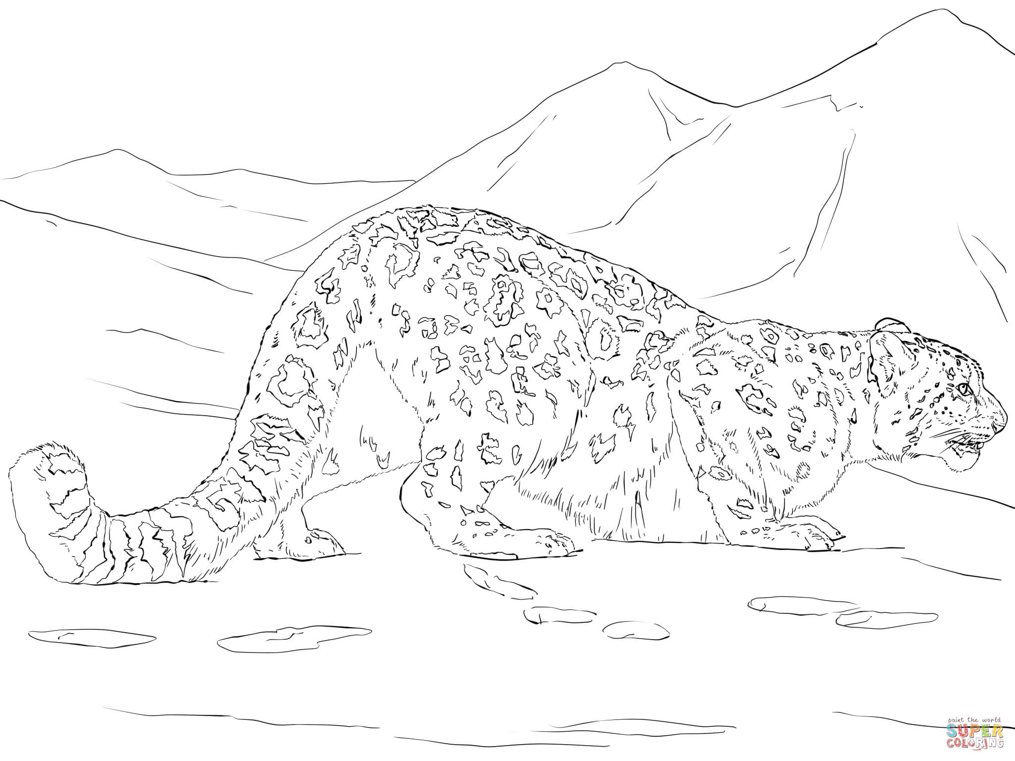 The Snow Leopards coloring #5, Download drawings