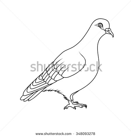 The Spotted Pigeon coloring #15, Download drawings