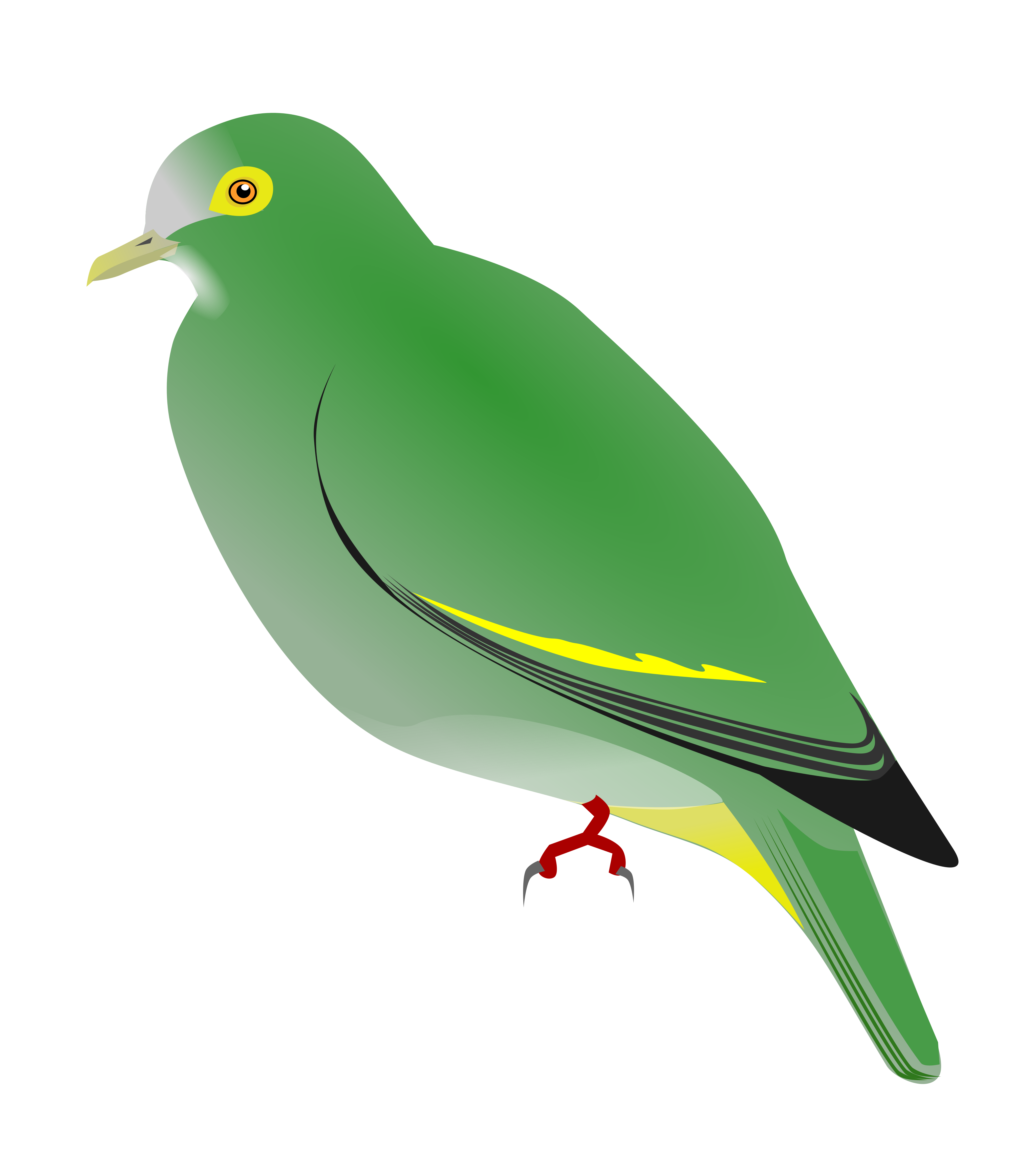 The Spotted Pigeon svg #11, Download drawings