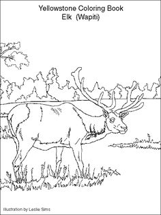 The Teton Range coloring #14, Download drawings