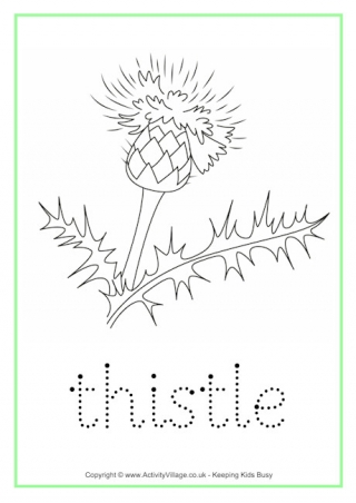 Thistle coloring #5, Download drawings