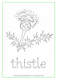 Thistle coloring #10, Download drawings