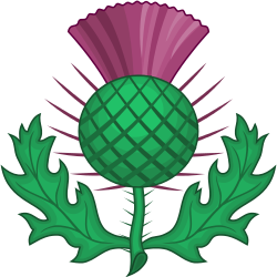 Thistle svg #20, Download drawings