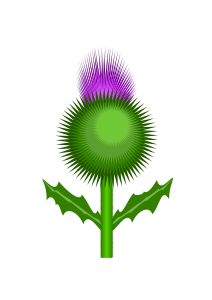 Thistle svg #16, Download drawings