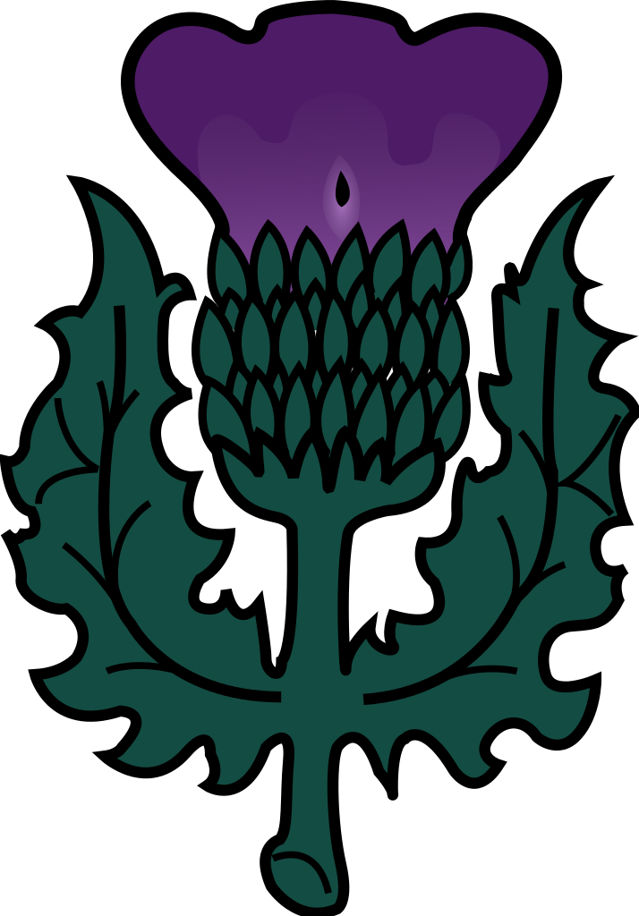 Thistle svg #6, Download drawings