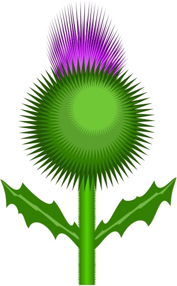 Thistle svg #10, Download drawings