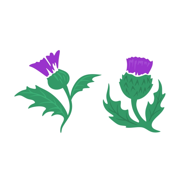 Thistle svg #17, Download drawings