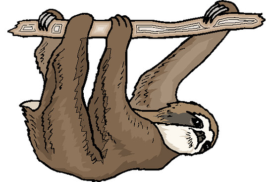Three Toed Sloth clipart #12, Download drawings