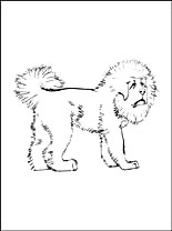 Tibetan Mastiff coloring #5, Download drawings