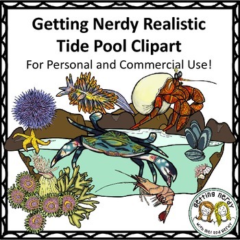 Tide Pool clipart #19, Download drawings