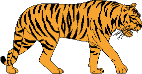 Tiger clipart #8, Download drawings
