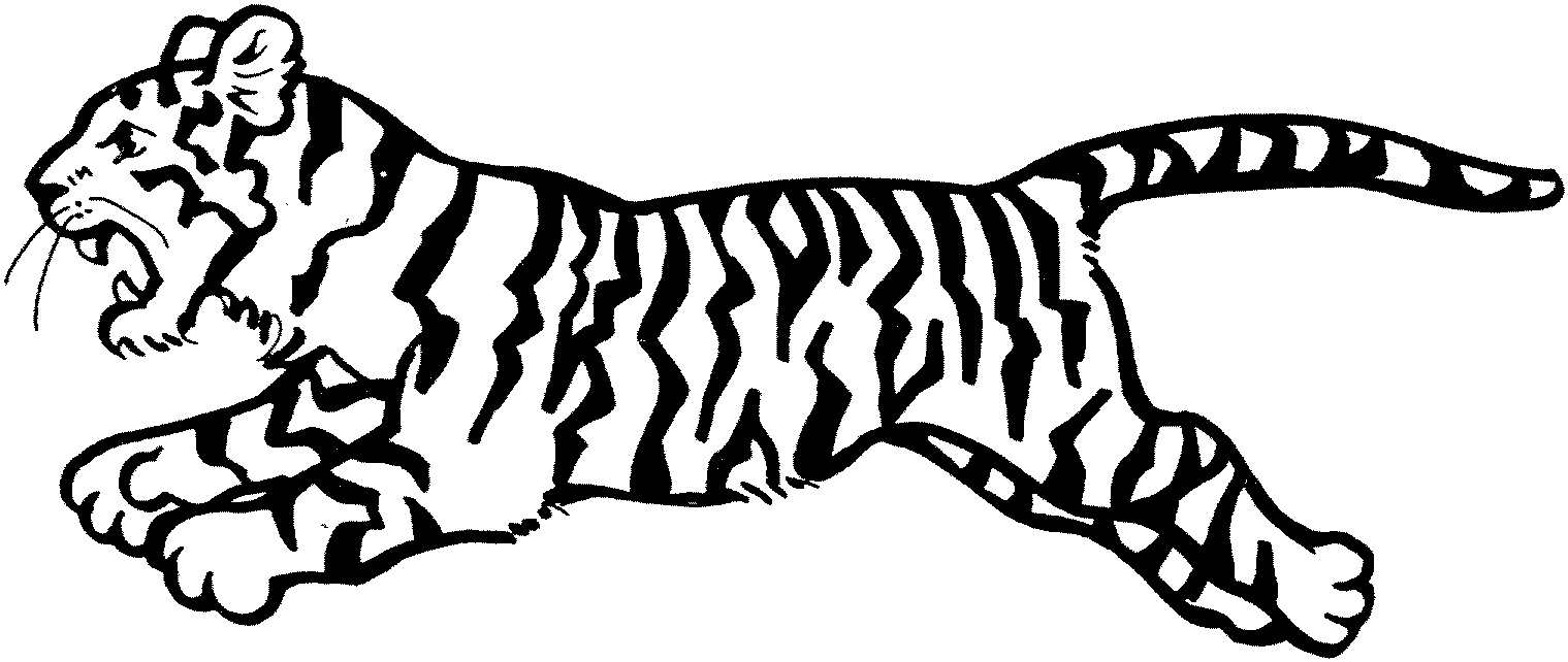 Tiger coloring #19, Download drawings