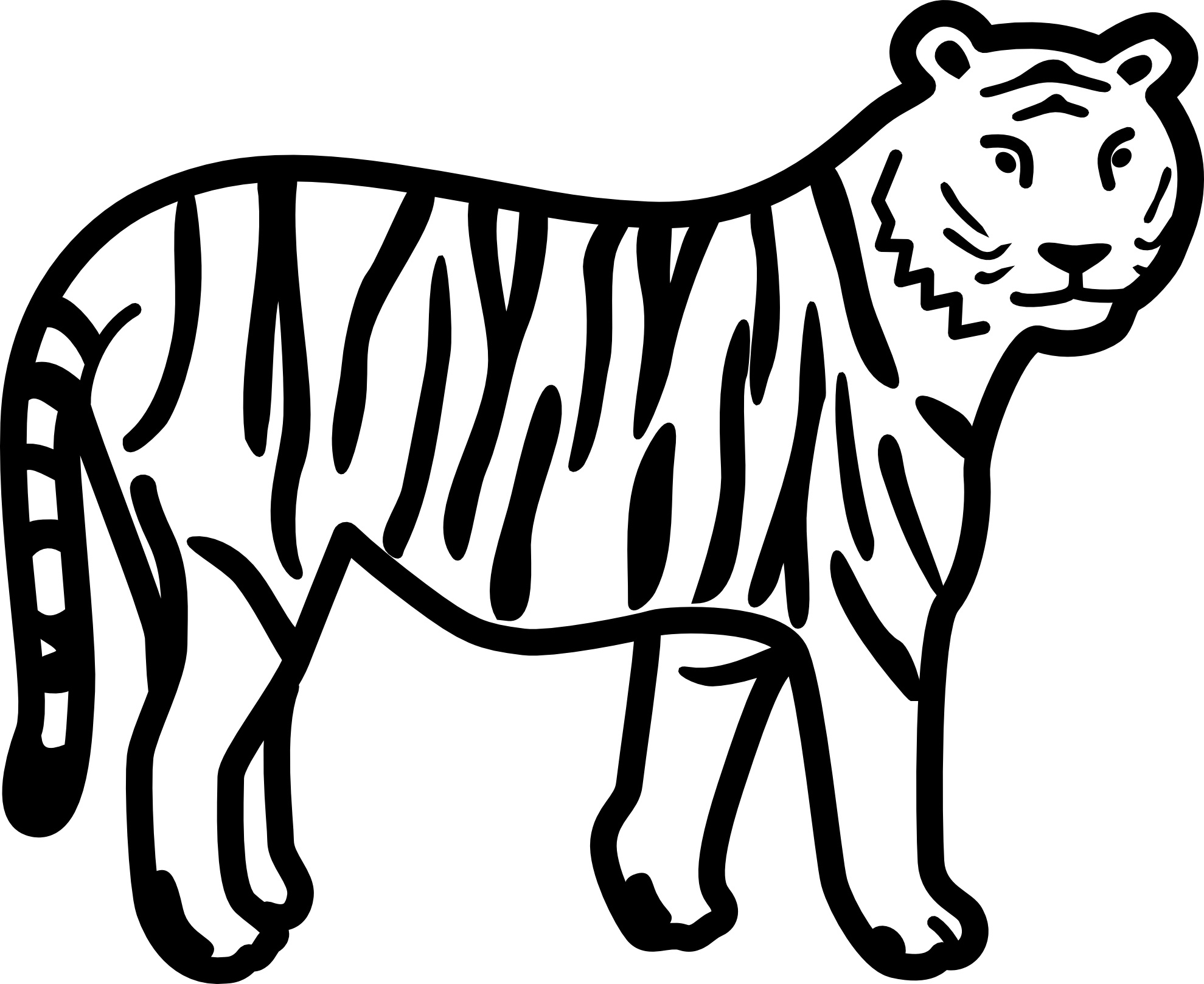 Tiger coloring #11, Download drawings