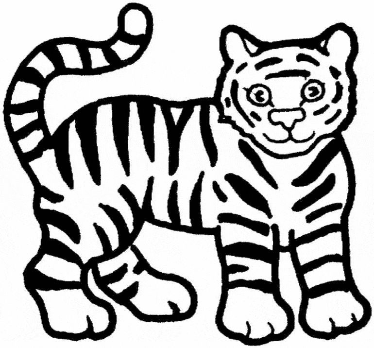 Tiger coloring #7, Download drawings