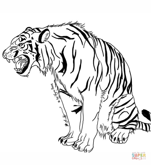 Tiger coloring #1, Download drawings