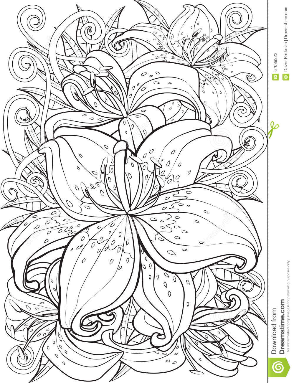 Tiger Lily coloring #13, Download drawings