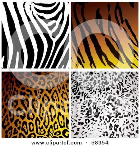 Tiger Print clipart #9, Download drawings