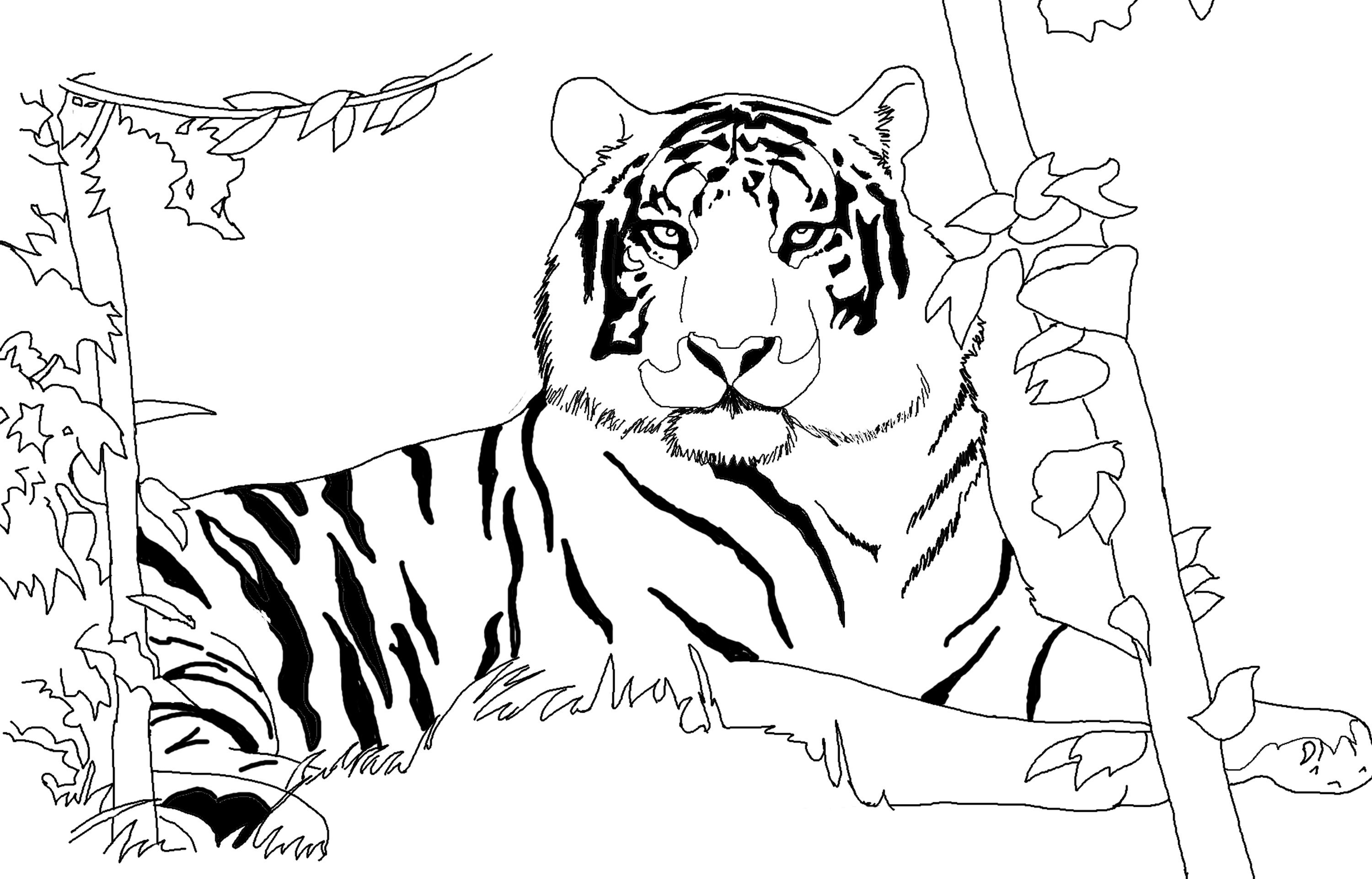 Tiger Print coloring #11, Download drawings