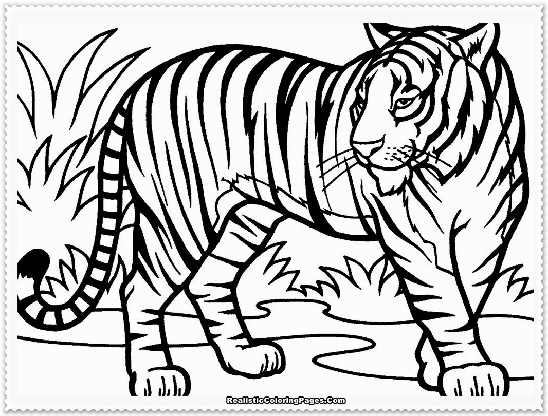 Tiger Print coloring #19, Download drawings
