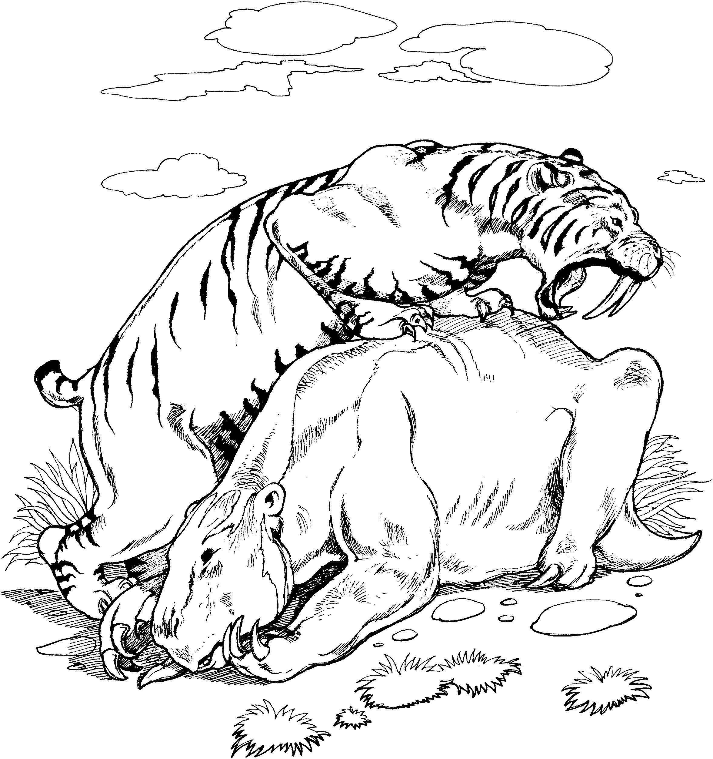 Tiger Print coloring #16, Download drawings