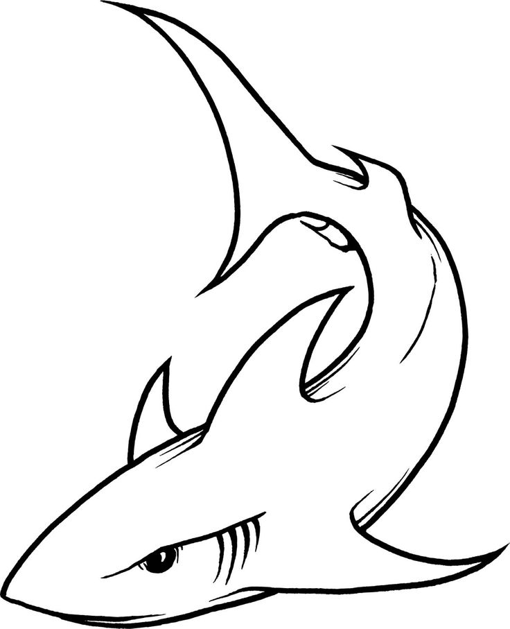 Tiger Shark clipart #3, Download drawings