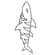 Tiger Shark coloring #2, Download drawings