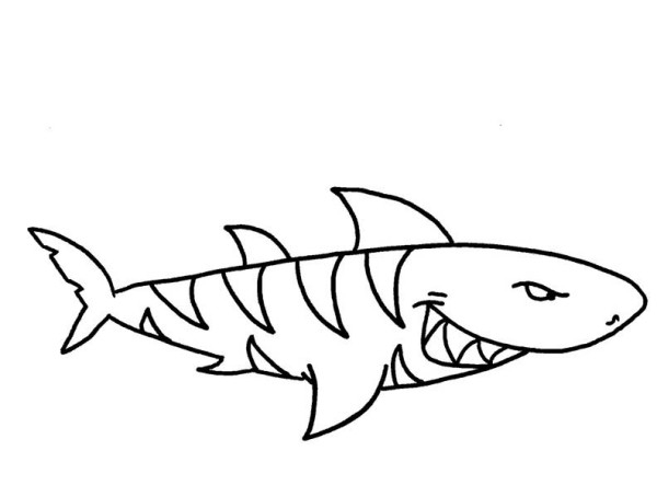 Tiger Shark coloring #16, Download drawings
