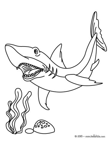Tiger Shark coloring #13, Download drawings