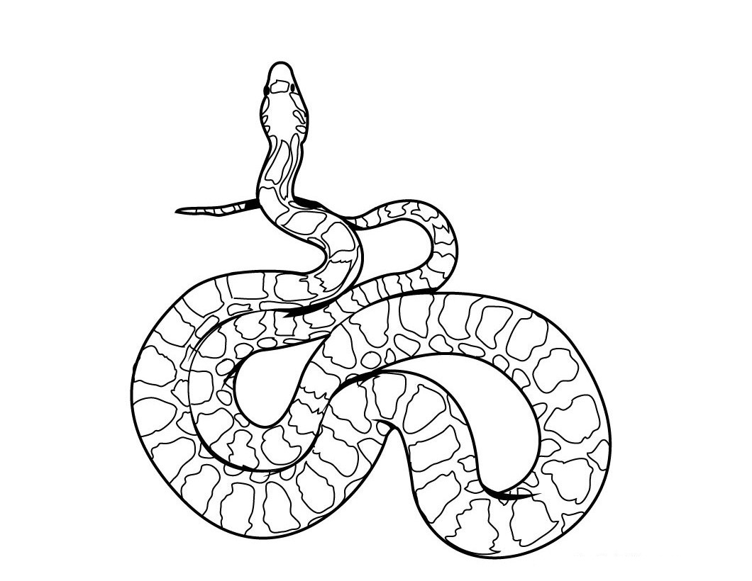 Tiger Snake coloring #2, Download drawings