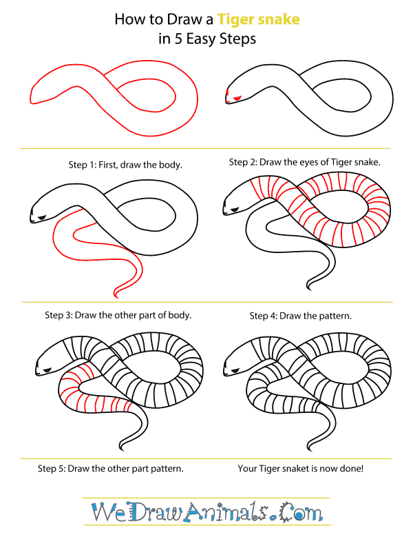 Tiger Snake coloring #11, Download drawings