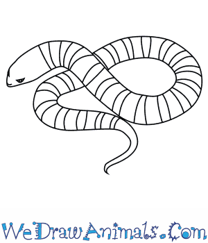 Tiger Snake coloring #13, Download drawings