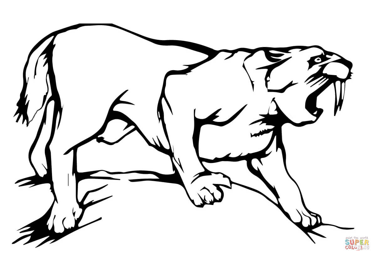 Tigre Bengala coloring #13, Download drawings