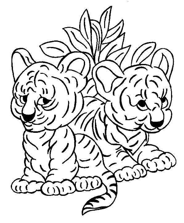 Tigres coloring #6, Download drawings